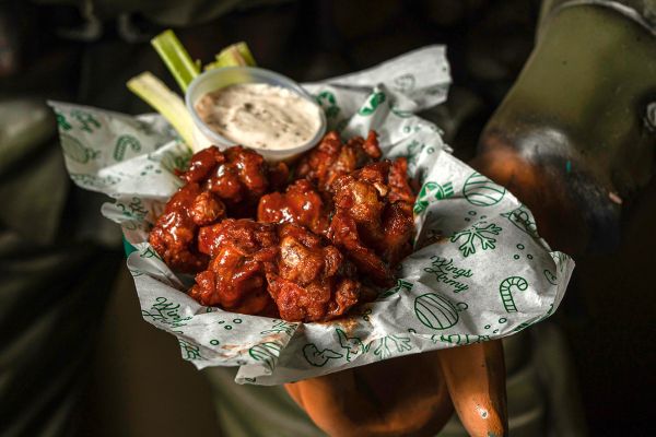 Wings Army Celaya